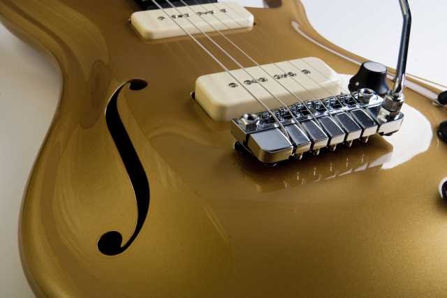 cool guitars.info: Schaller LP Tremolo