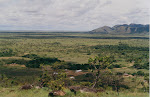 Rupununi Savannah