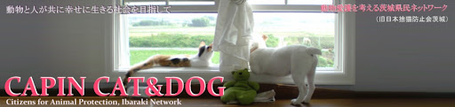 CAPIN 　CAT&DOG　 動物愛護を考える茨城県民ネットワーク    　Blog