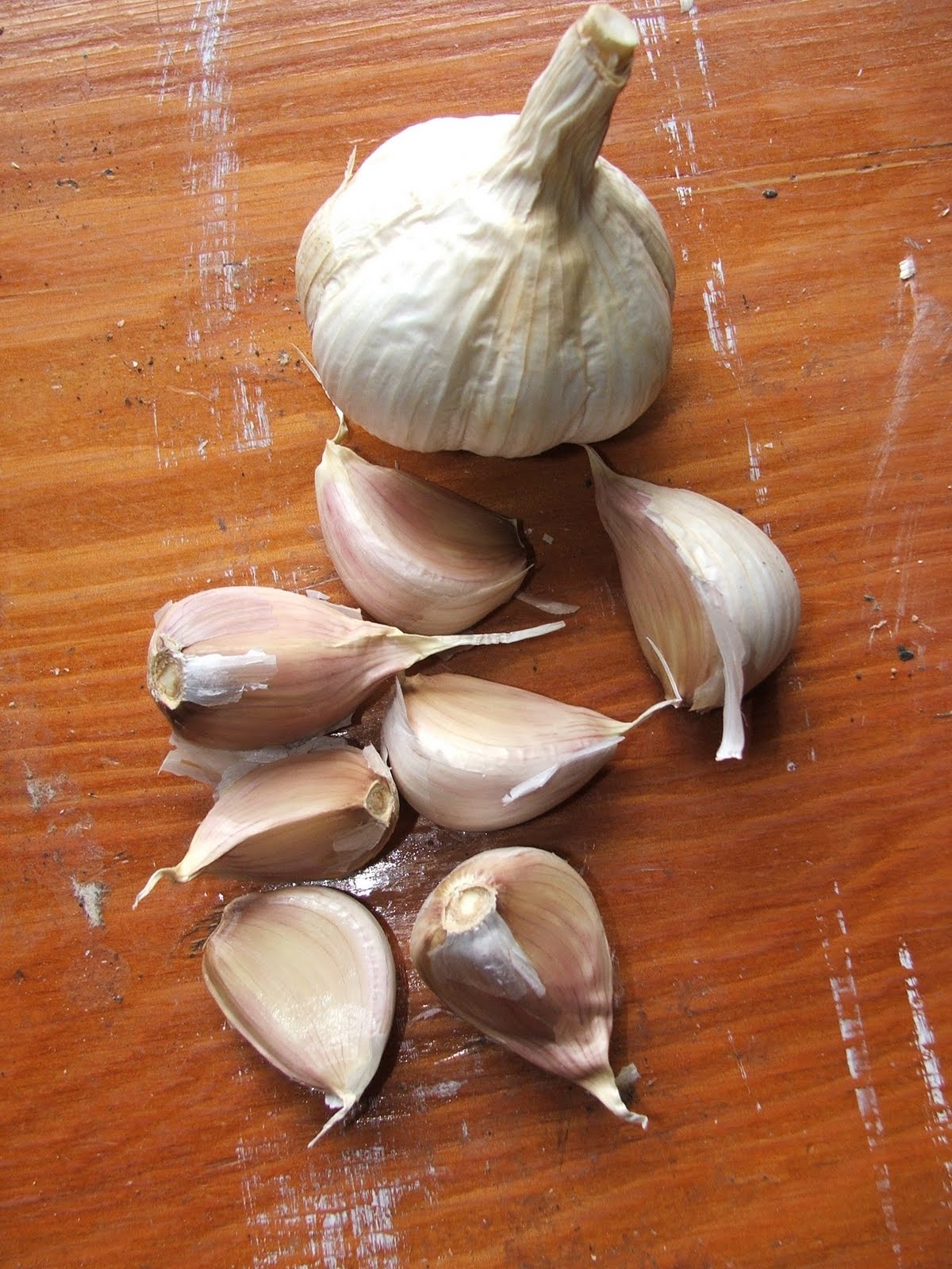 Hort Blog Jack Frost, Garlic and Cover Crops.