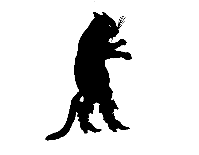 [catwithbootson.jpg]