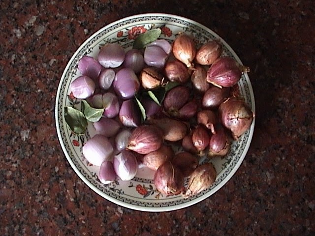 onion tor boys onion tor boys