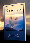 Jeanne's Newest Book - STRAYS