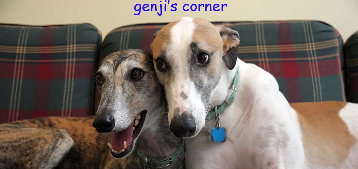 genji's corner