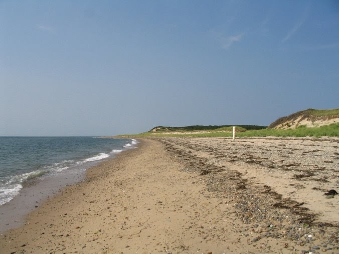 The Mad Fermentationist Homebrewing Blog Homebrew Water Treatment