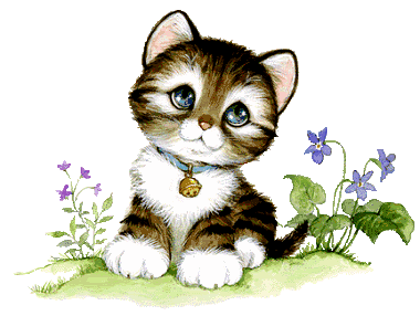 gatinho_fg5k98.gif