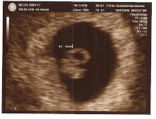 First Ultrasound