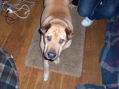 this is pluto my dog!