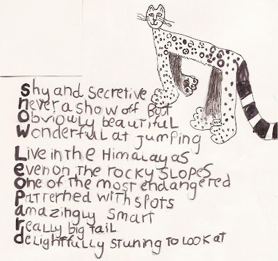 Maya Calypso Durham Talks: Snow Leopard Acrostic Poem