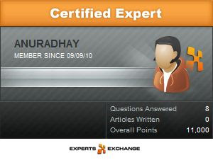Expert Exchange Badge