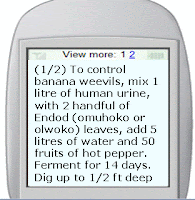 Google Goes to Africa, Expanding Mobile Initiatives in 2024