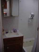 Bathroom has Mirrored medicine cabinet..........