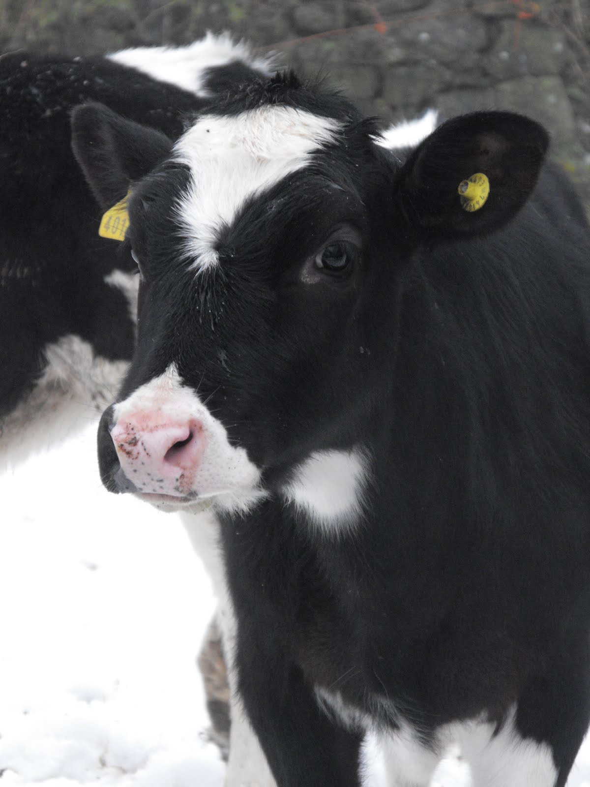 [2010_01142009Septcarewcastle0022.JPG]