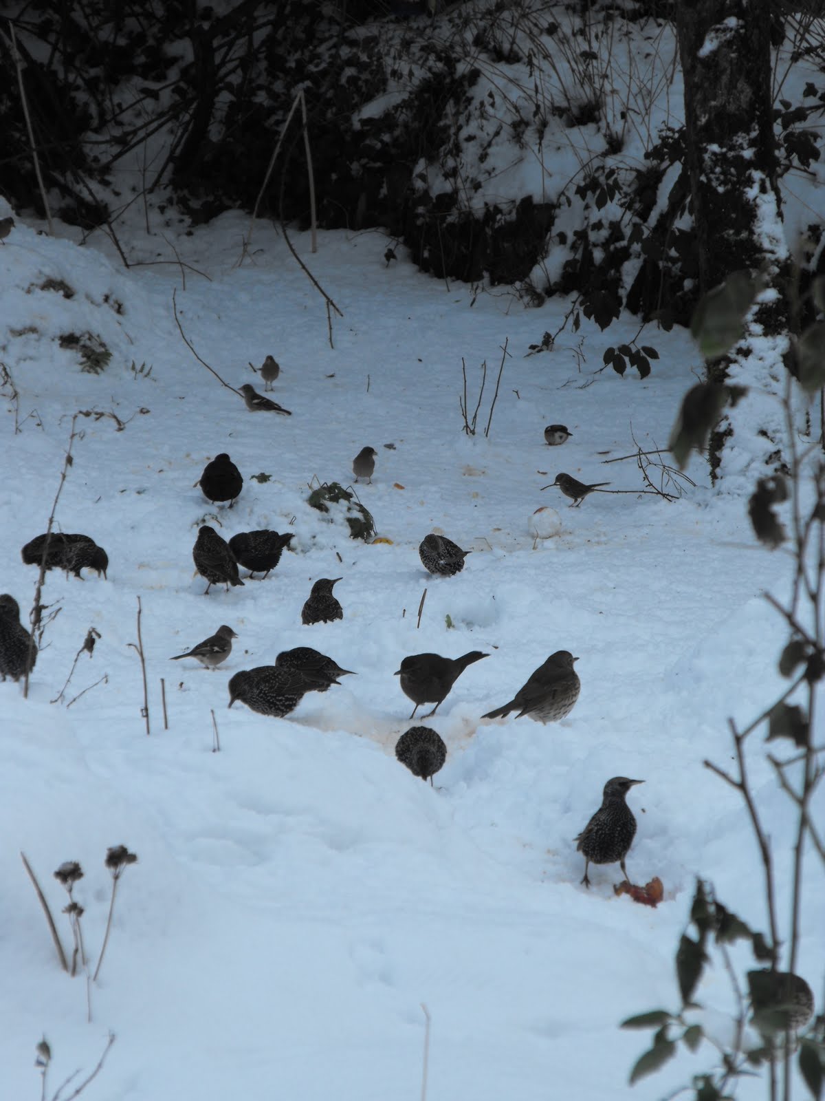 [2010_01062009Septcarewcastle0010.JPG]