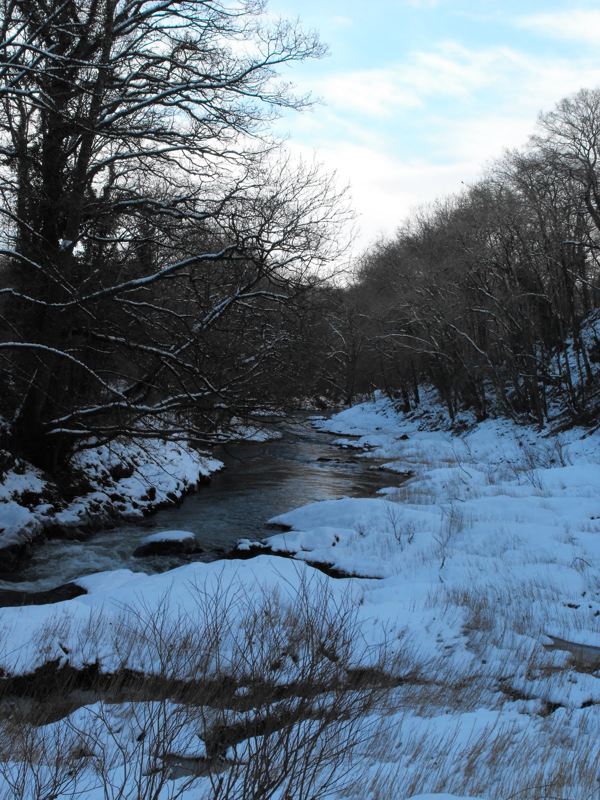 [2010_01062009Septcarewcastle0010.JPG]