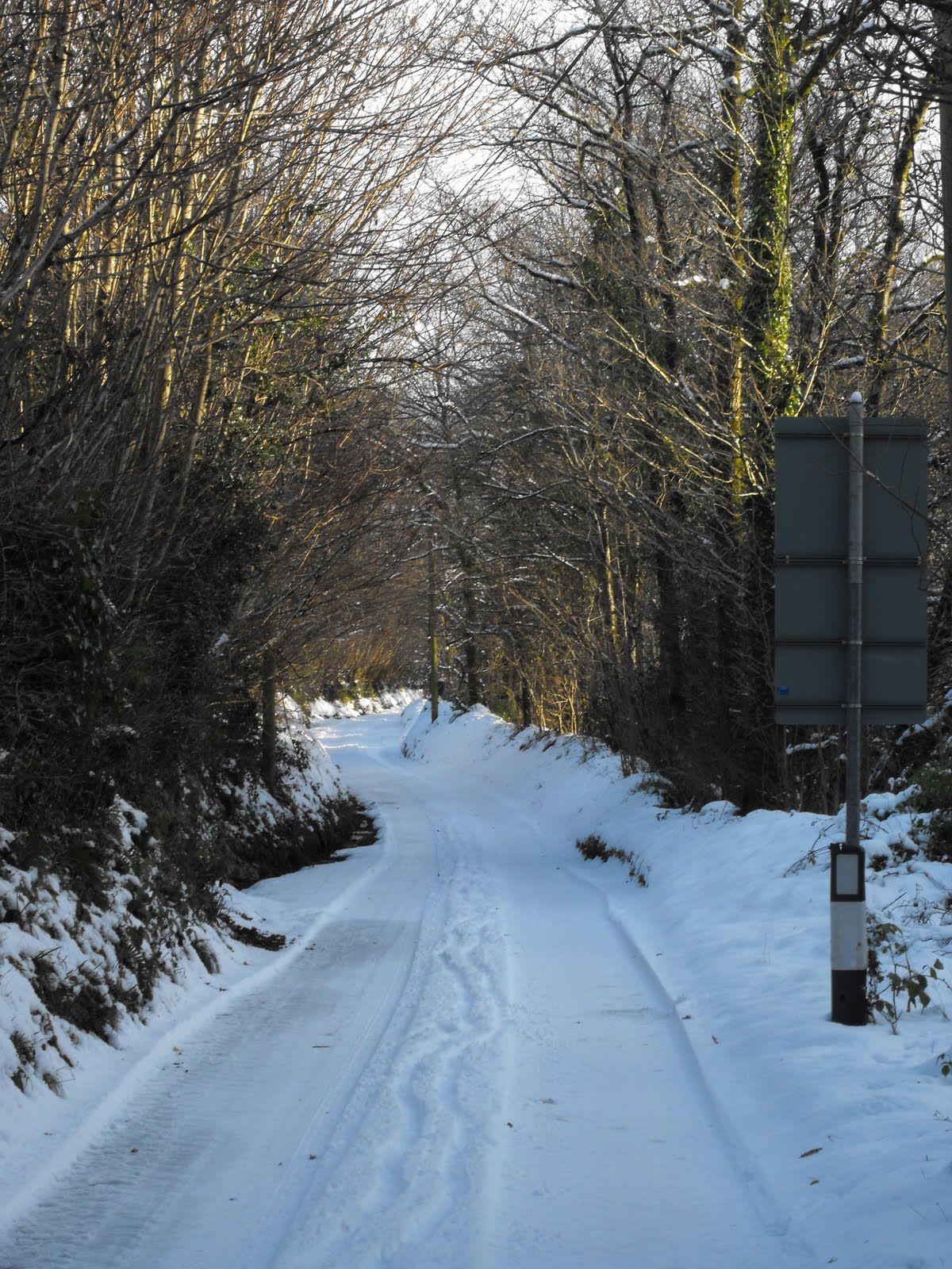 [2010_01062009Septcarewcastle0003.JPG]
