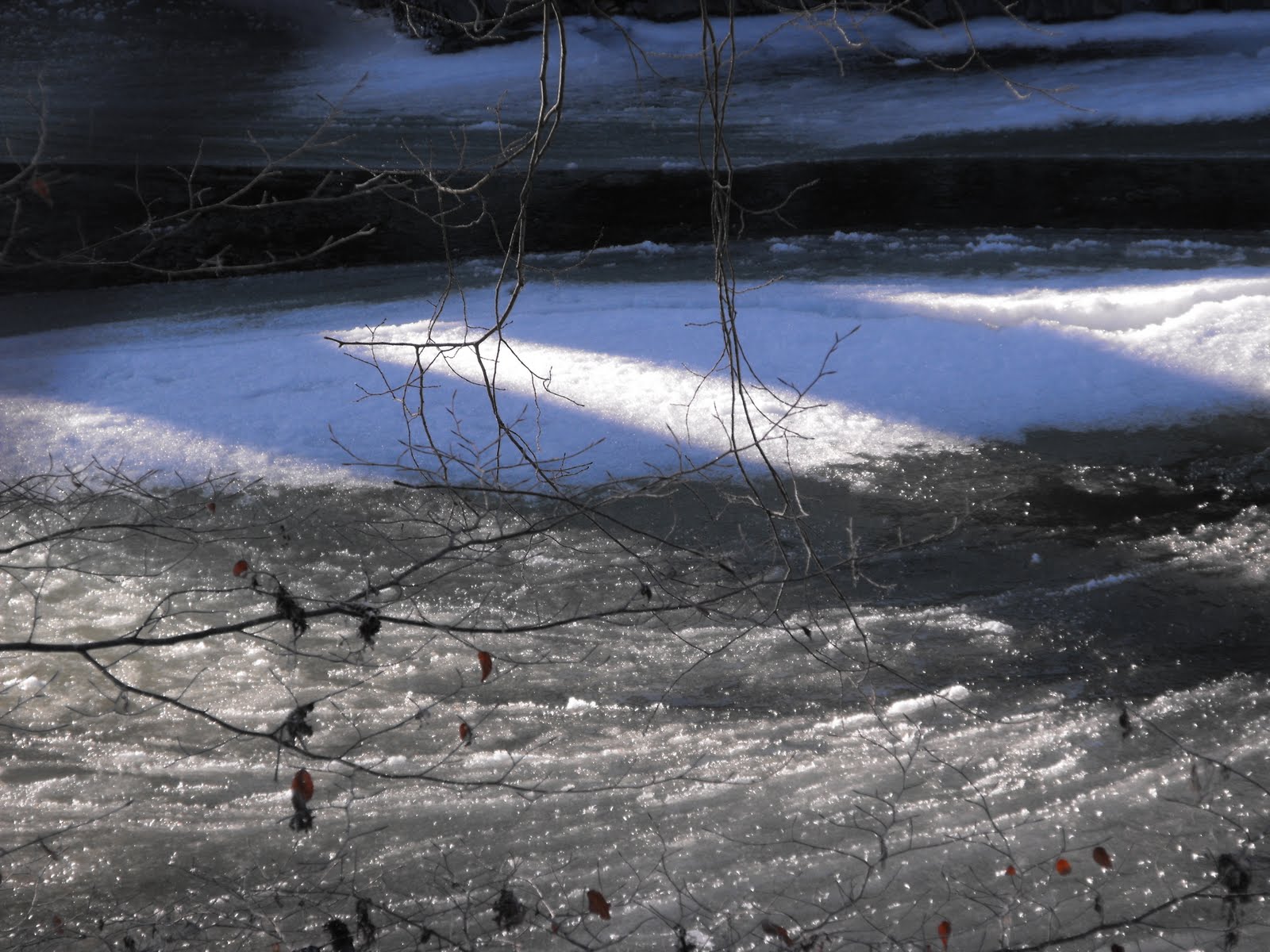 [2010_01082009Septcarewcastle0039.JPG]