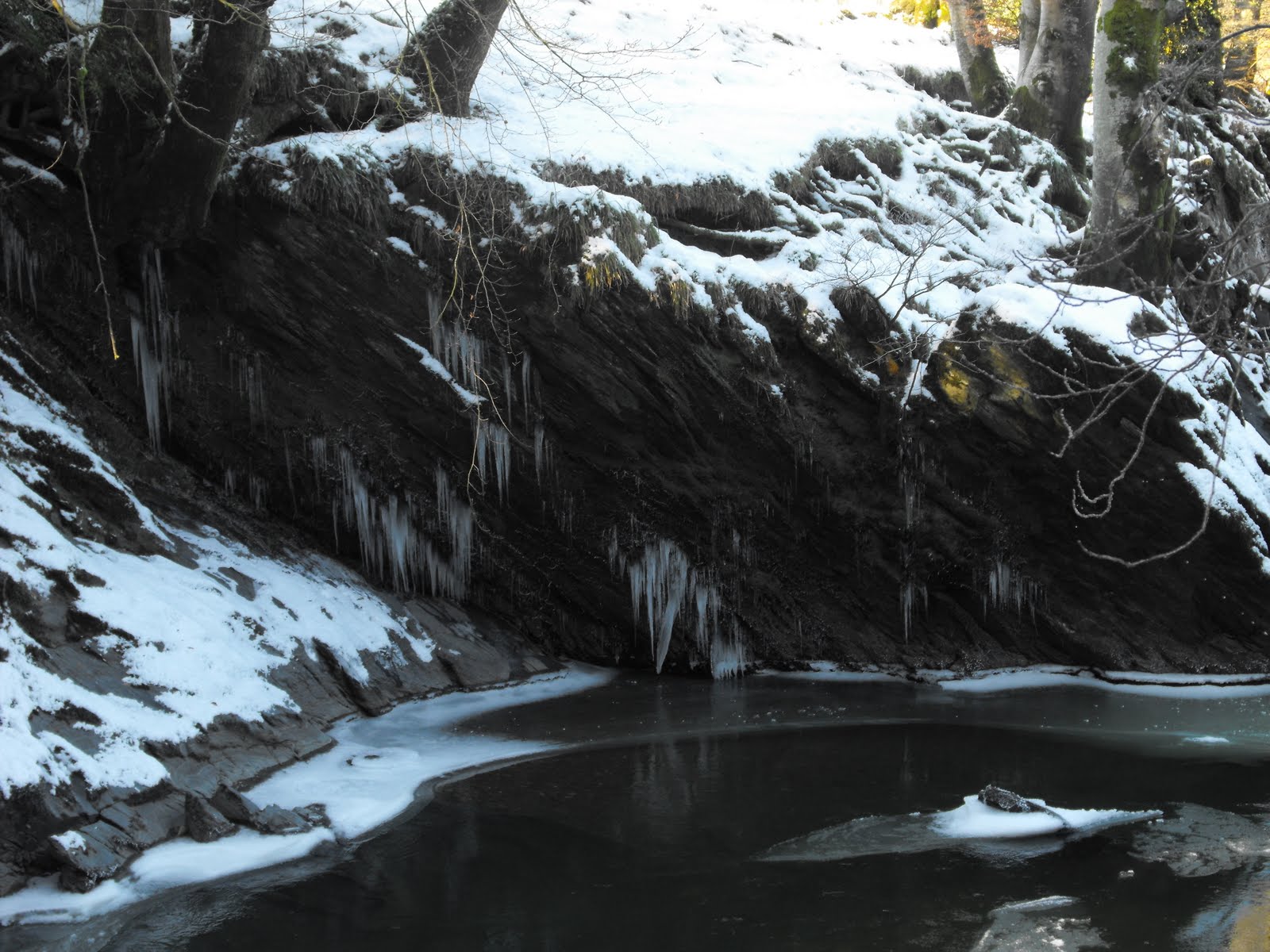 [2010_01082009Septcarewcastle0034.JPG]