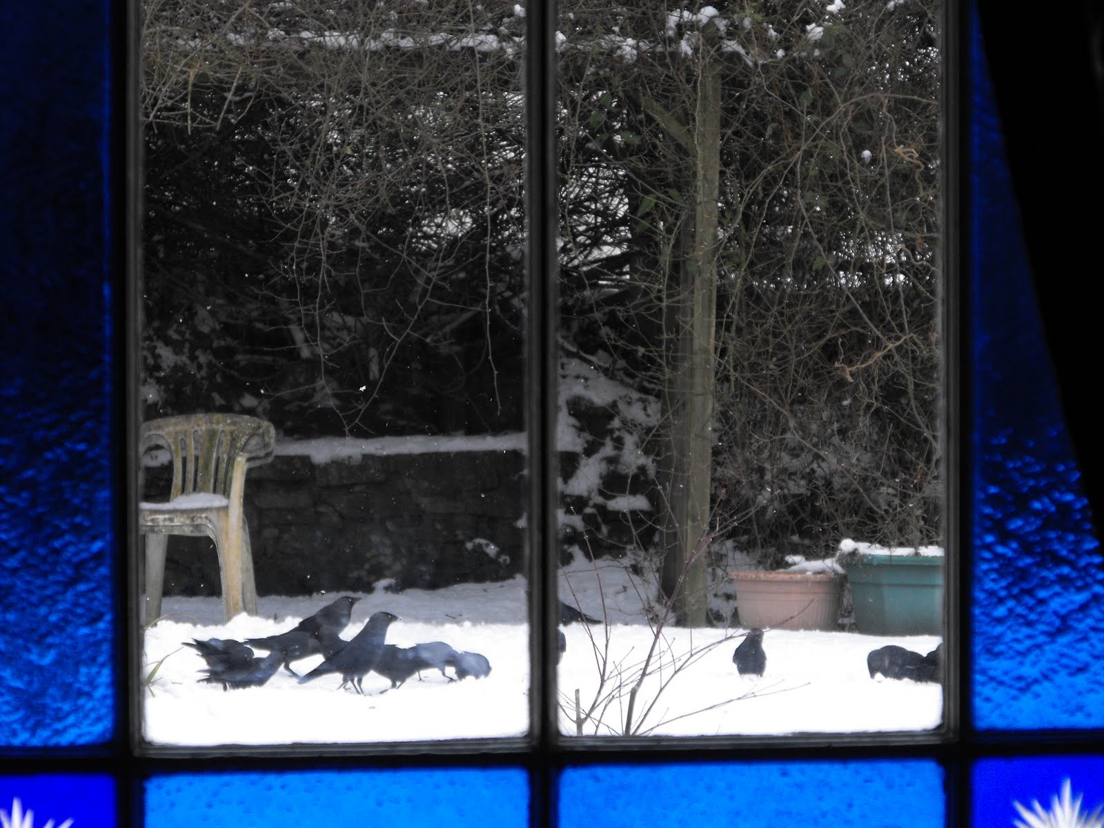 [2010_01062009Septcarewcastle0006.JPG]