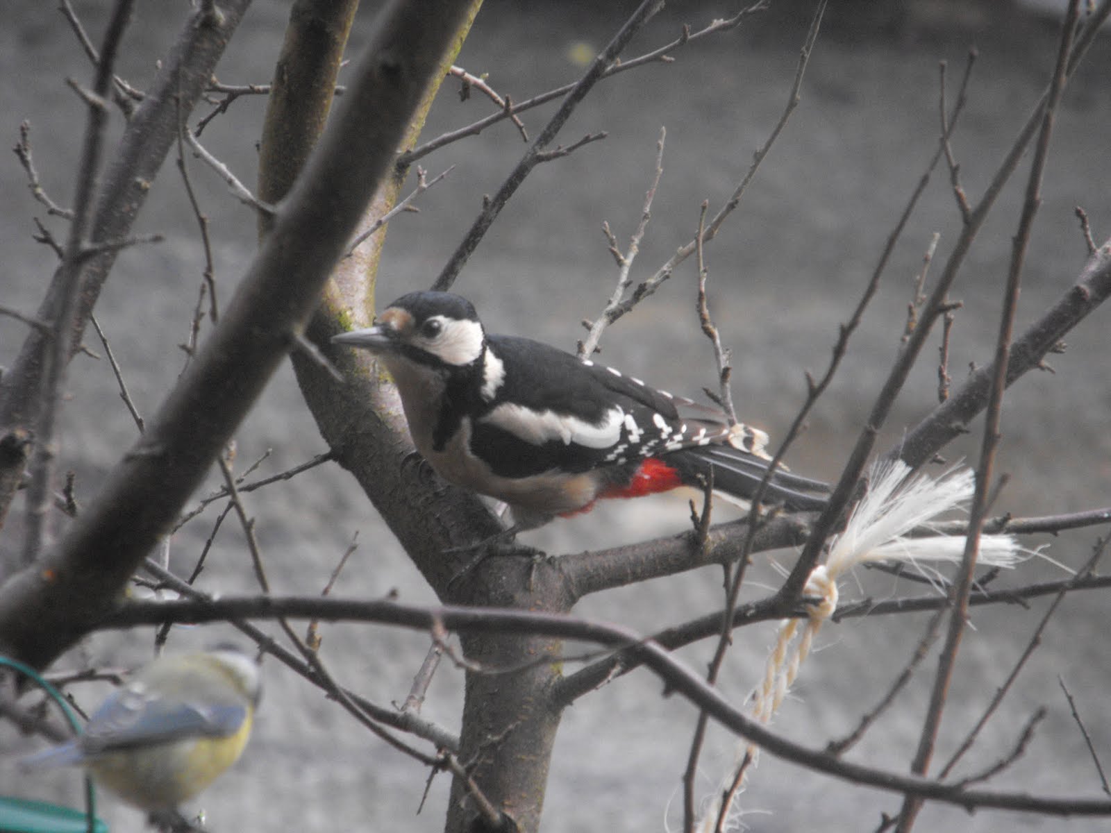 [2010_01162009Septcarewcastle0001.JPG]