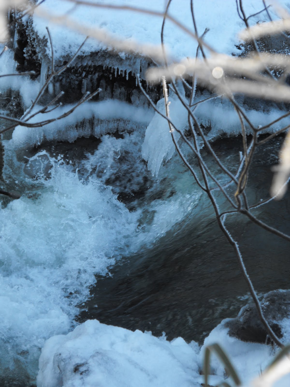 [2010_01082009Septcarewcastle0042.JPG]