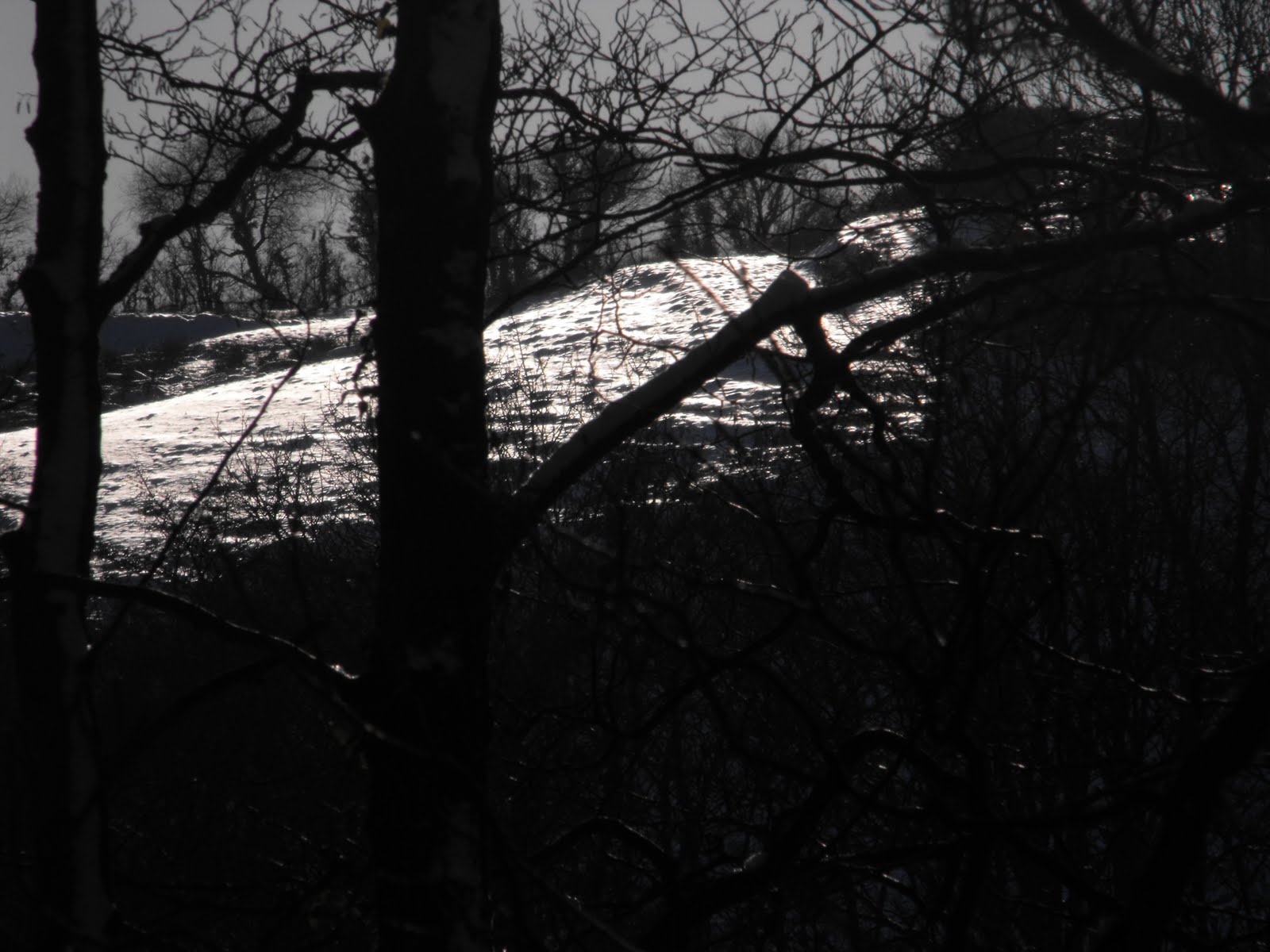 [2010_01082009Septcarewcastle0018.JPG]