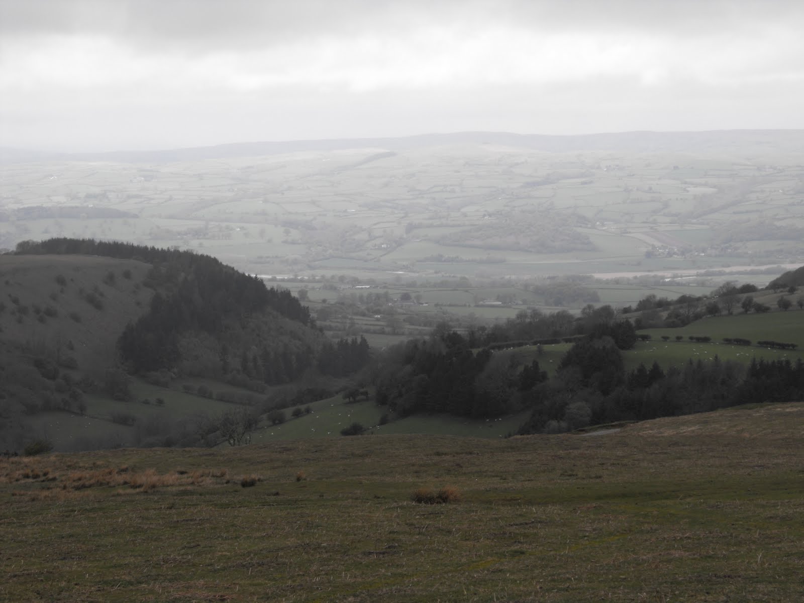 [2009_05045thJuly20070075.JPG]