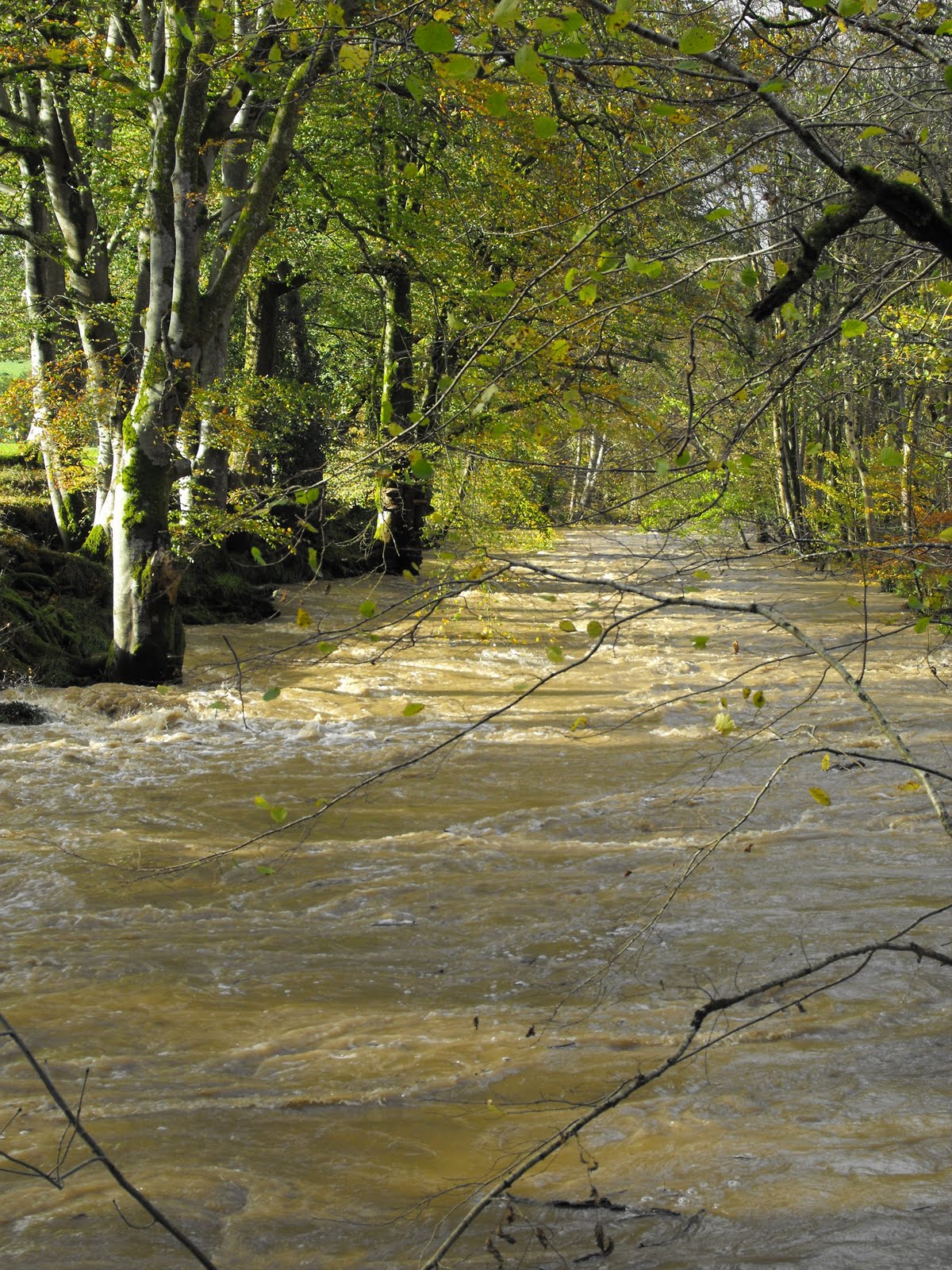 [2009_11012009Septcarewcastle0038.JPG]