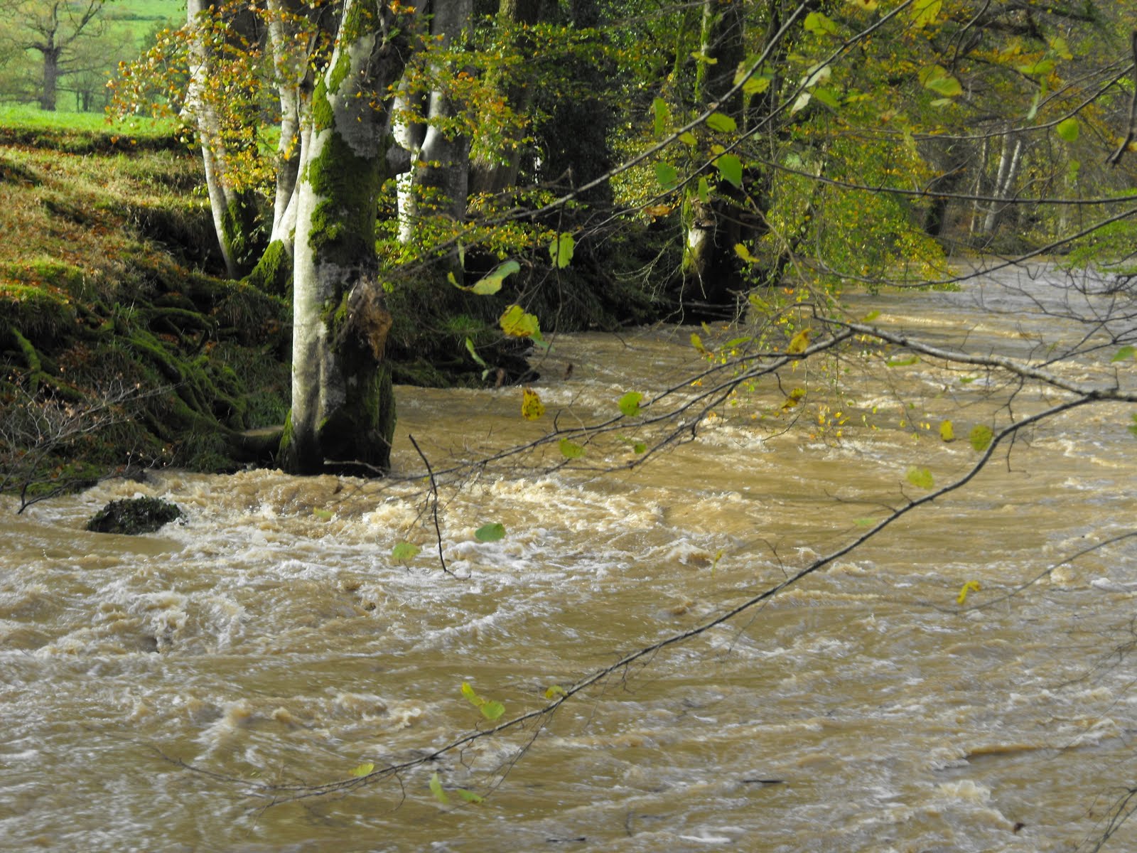 [2009_11012009Septcarewcastle0040.JPG]