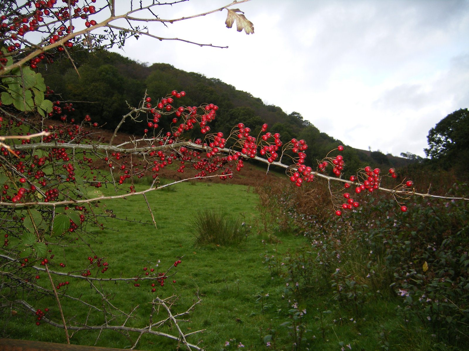 [2008_10085thJuly20070017.JPG]