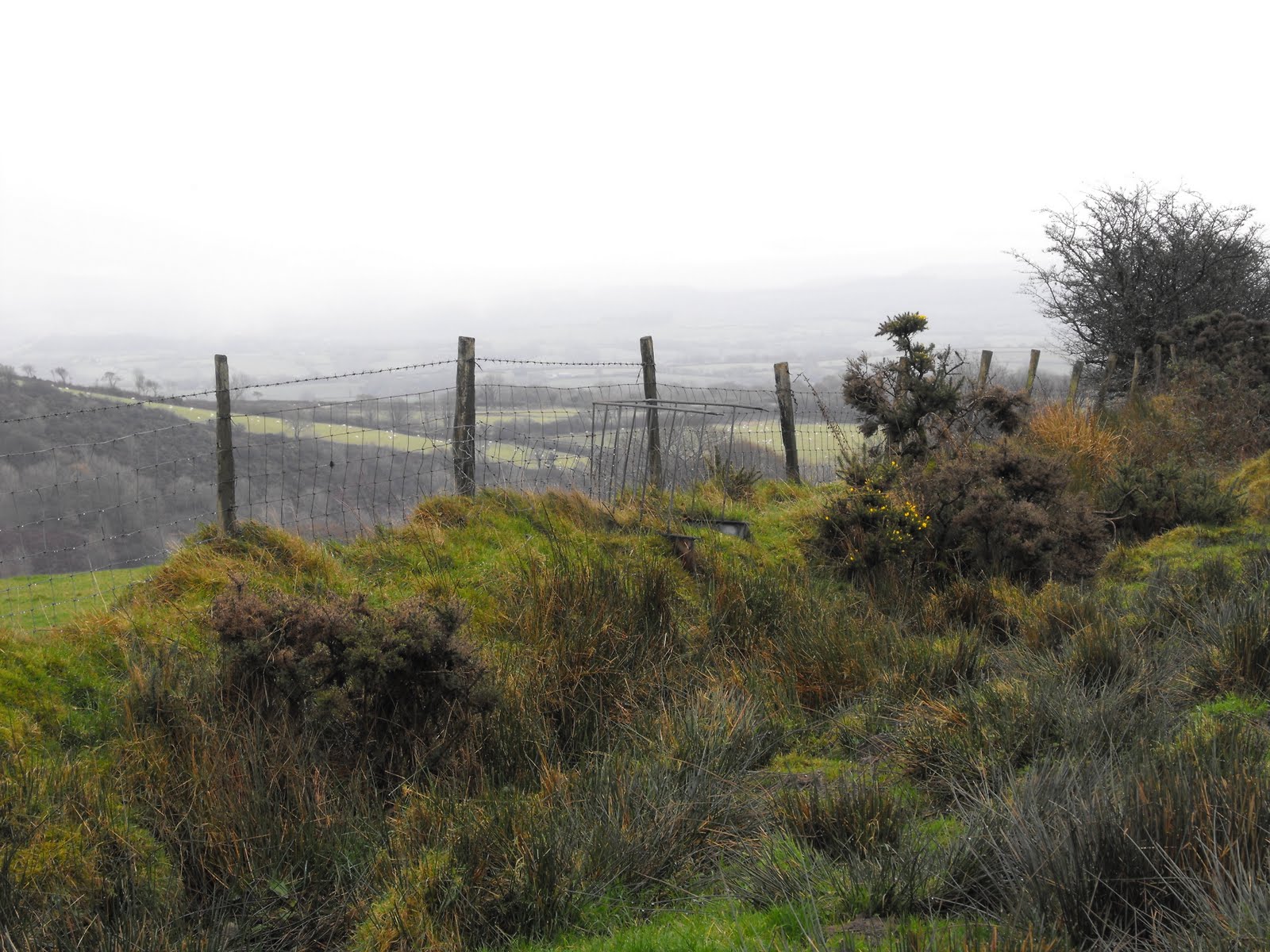 [2009_11132009Septcarewcastle0019.JPG]