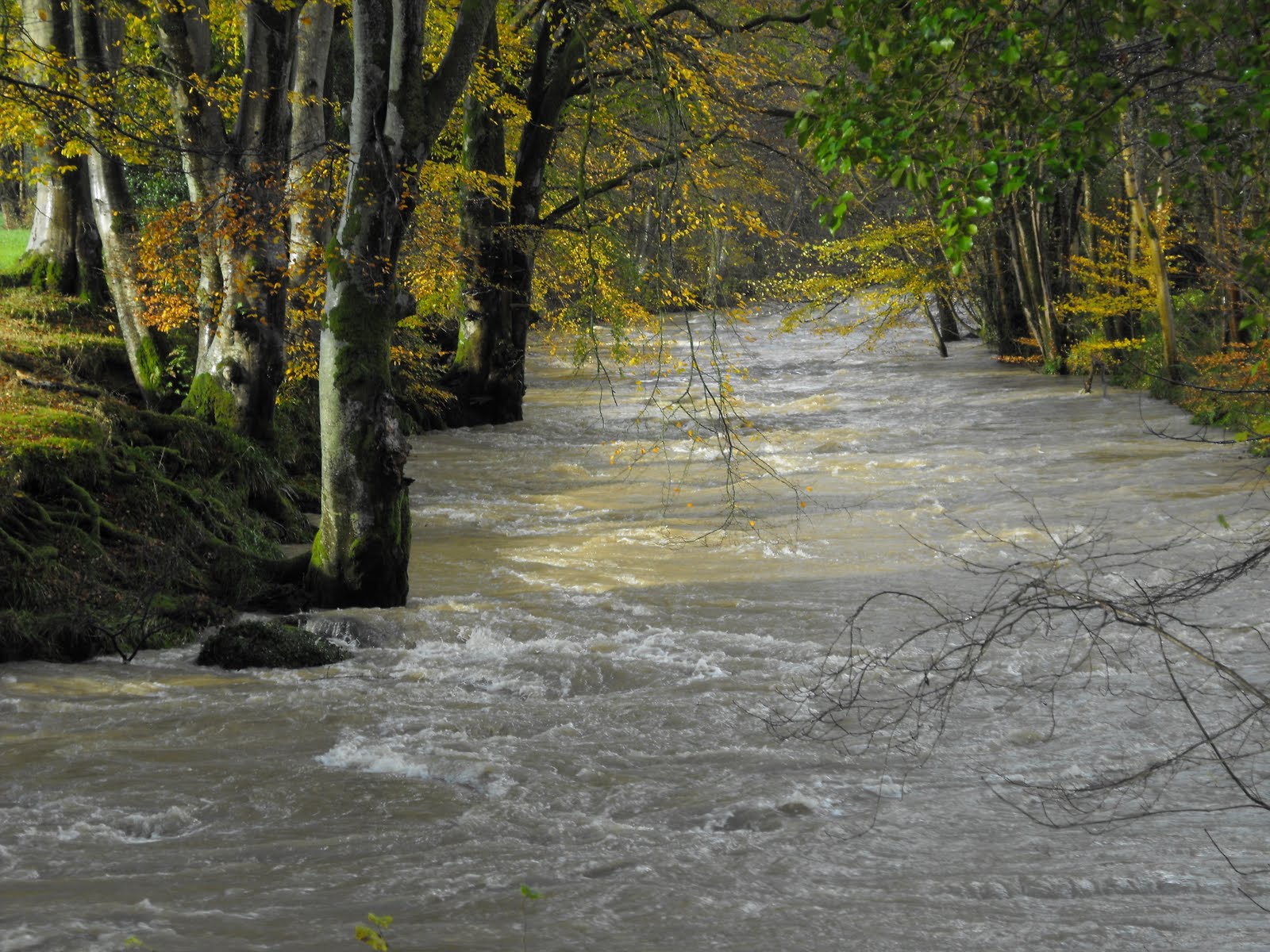 [2009_11142009Septcarewcastle0048.JPG]