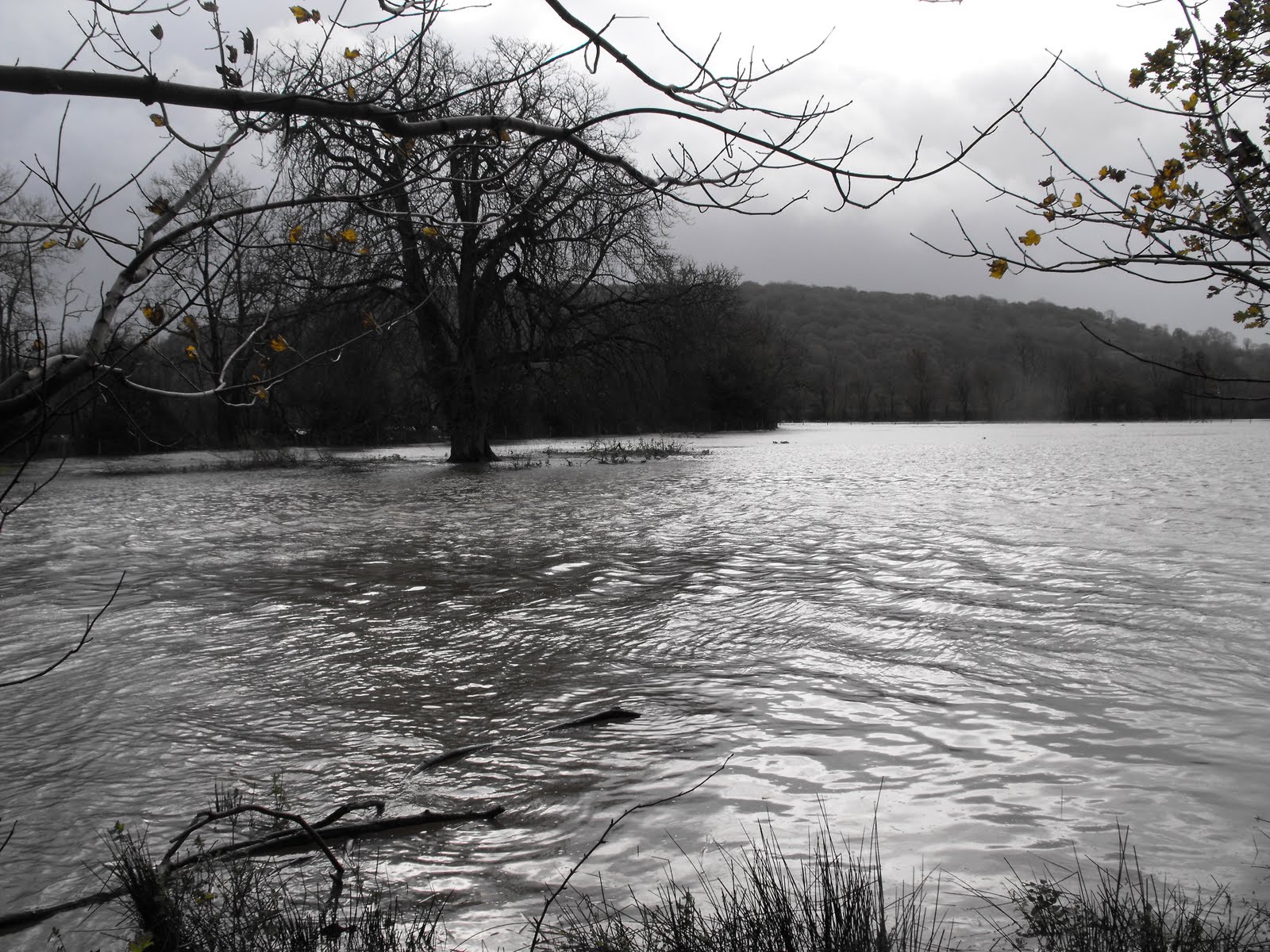 [2009_11142009Septcarewcastle0039.JPG]