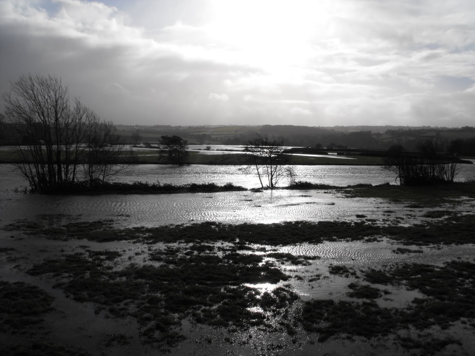 [2009_11142009Septcarewcastle0032.JPG]