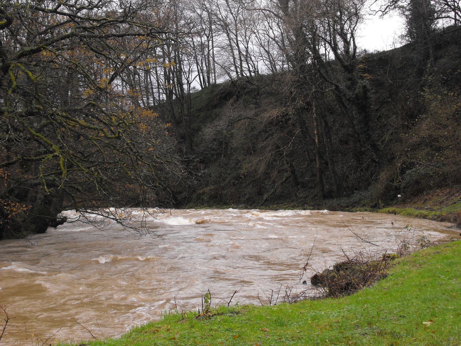 [2009_11142009Septcarewcastle0025.JPG]