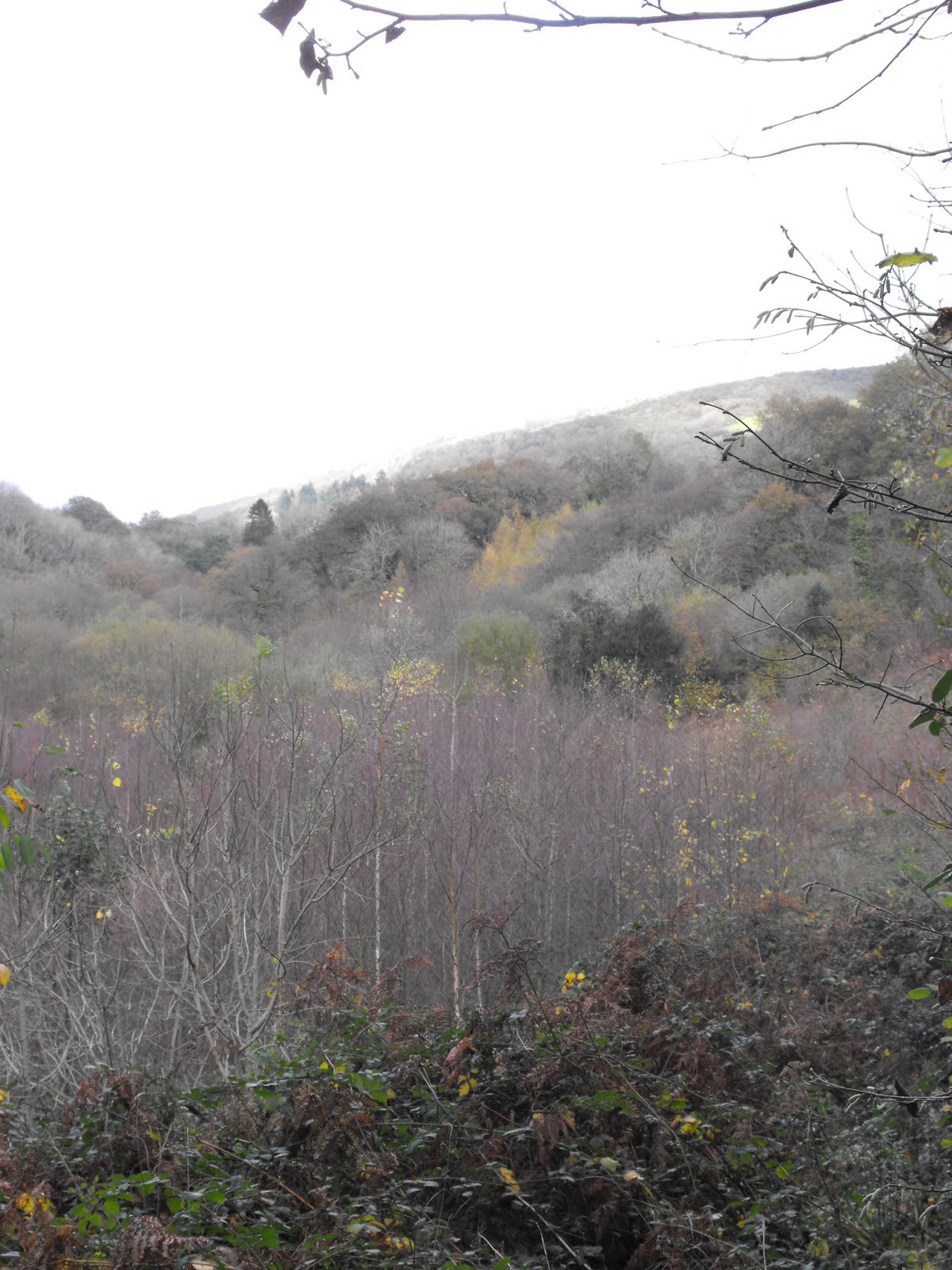 [2009_11042009Septcarewcastle0015.JPG]