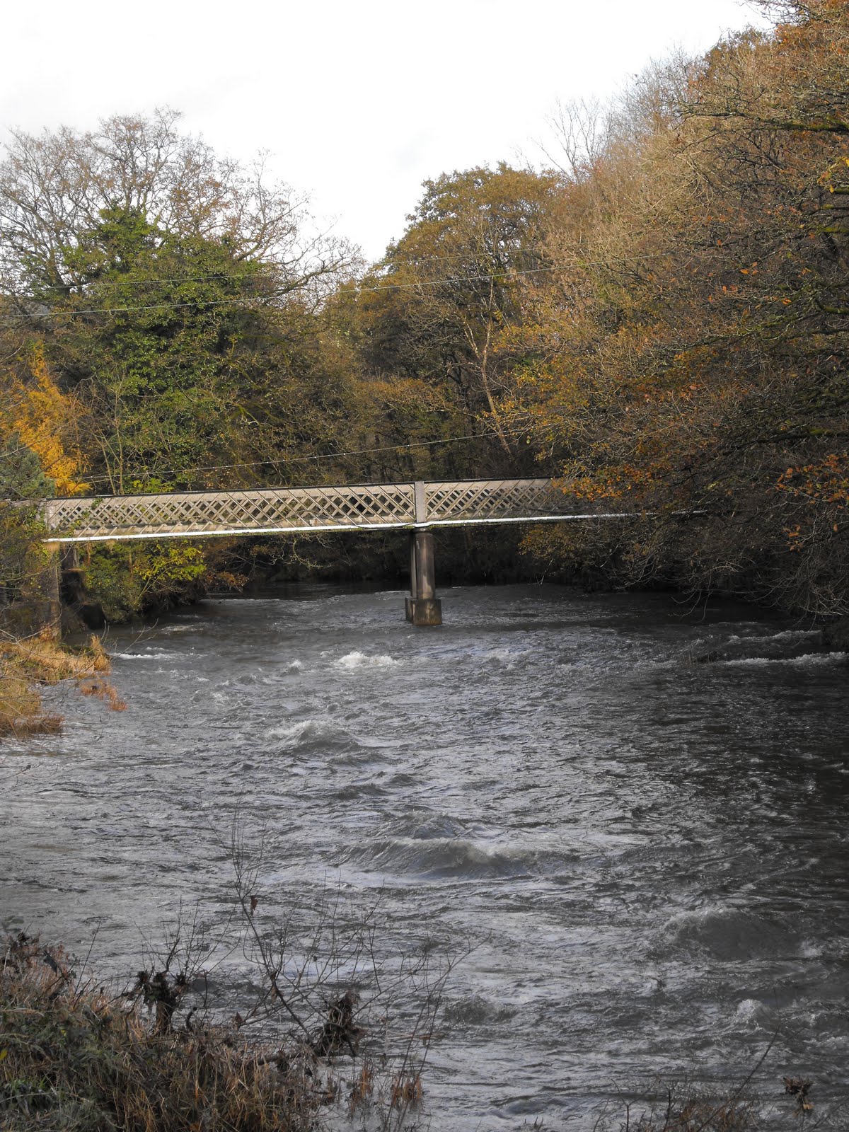 [2009_11042009Septcarewcastle0013.JPG]