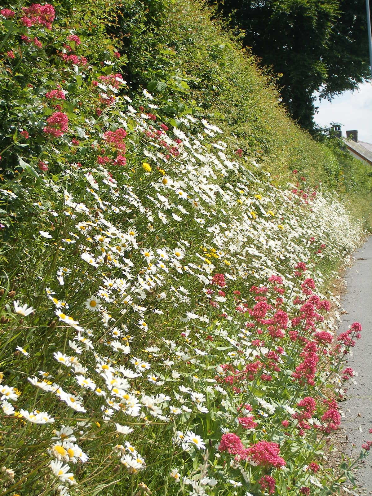 [2008_05305thJuly20070069.JPG]