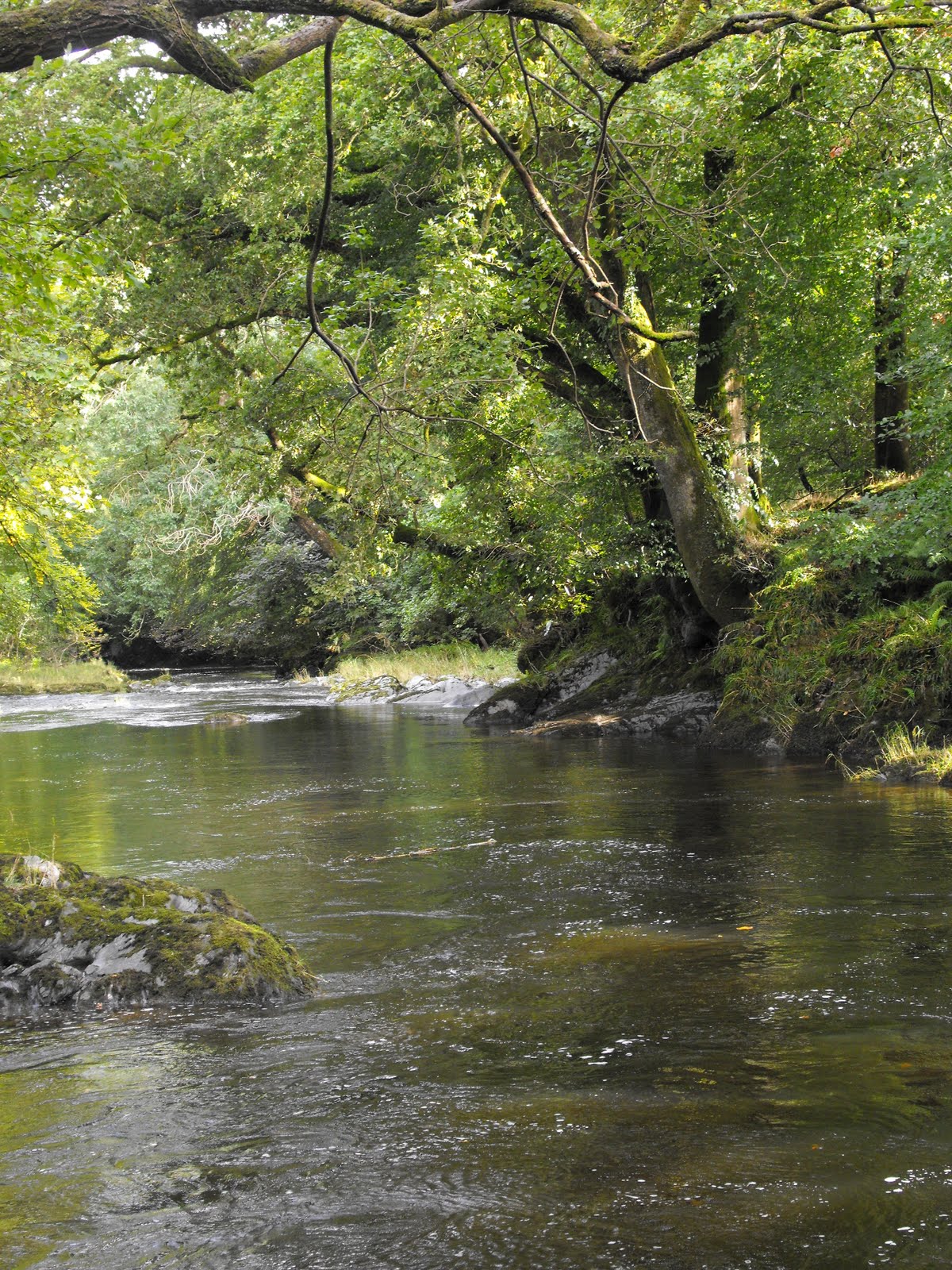 [2009_08255thJuly20070024.JPG]