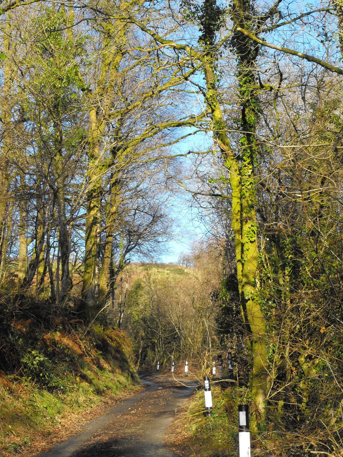 [2009_12122009Septcarewcastle0008.JPG]
