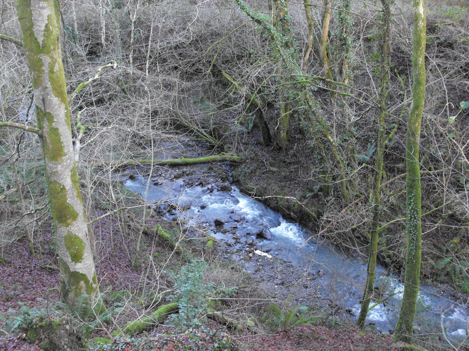[2009_12122009Septcarewcastle0006.JPG]