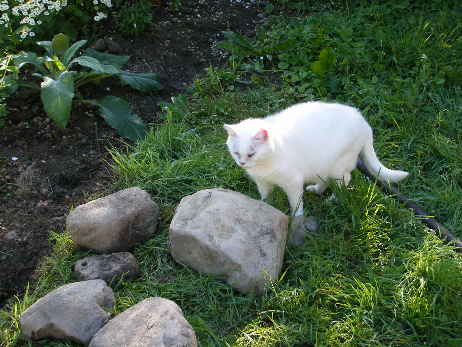 [2008_06305thJuly20070018.JPG]