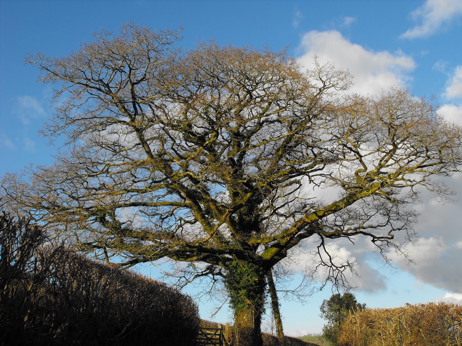 [2009_12172009Septcarewcastle0048.JPG]