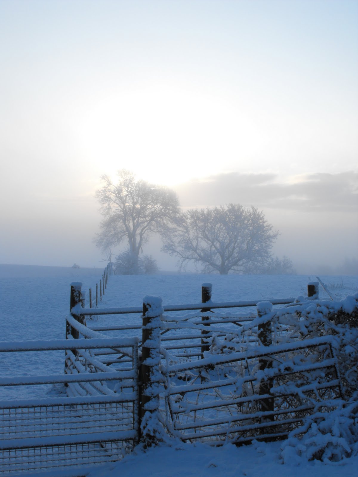 [2010_01022009Septcarewcastle0031.JPG]
