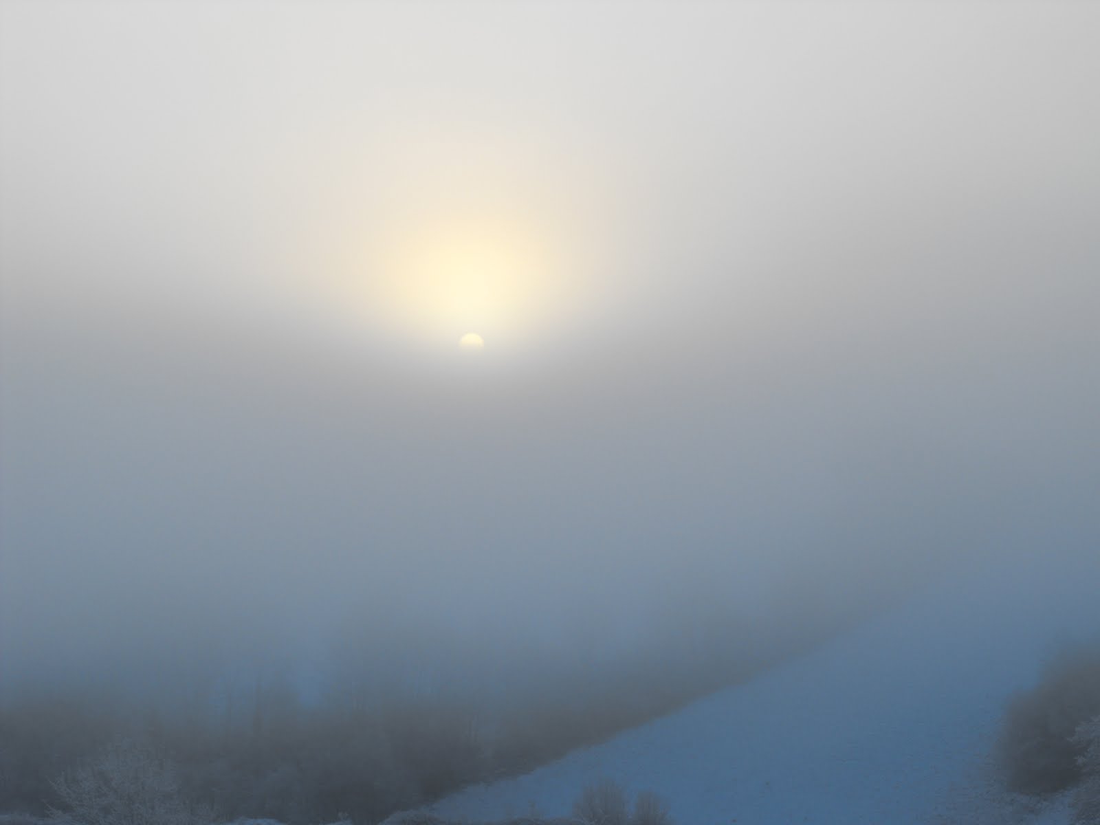 [2010_01022009Septcarewcastle0027.JPG]