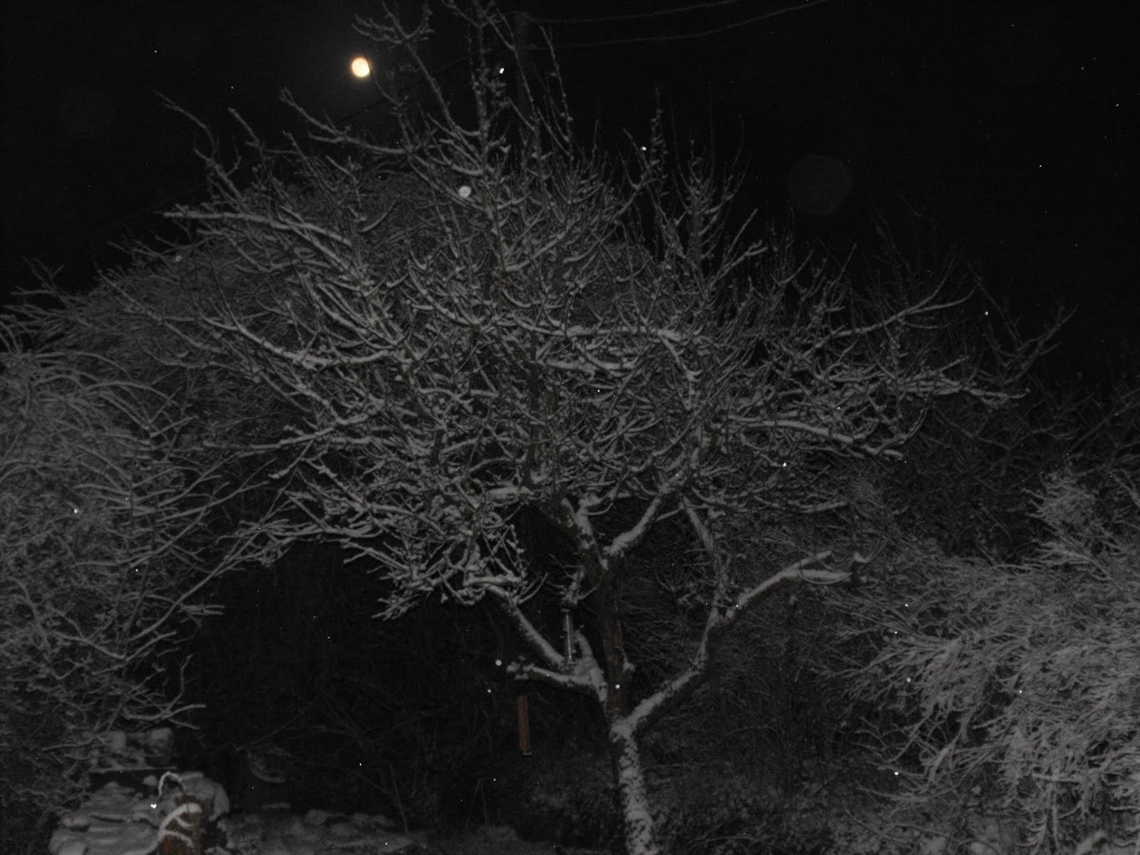 [2010_01022009Septcarewcastle0019.JPG]