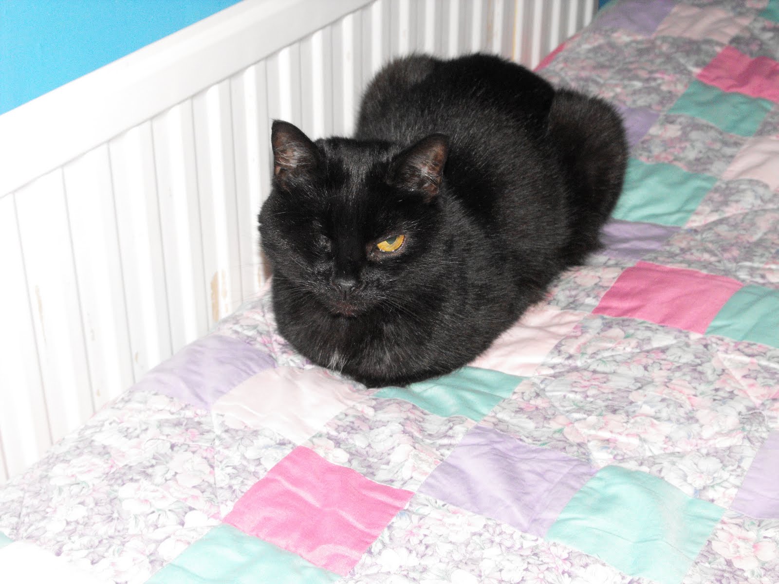 [2009_12312009Septcarewcastle0006.JPG]