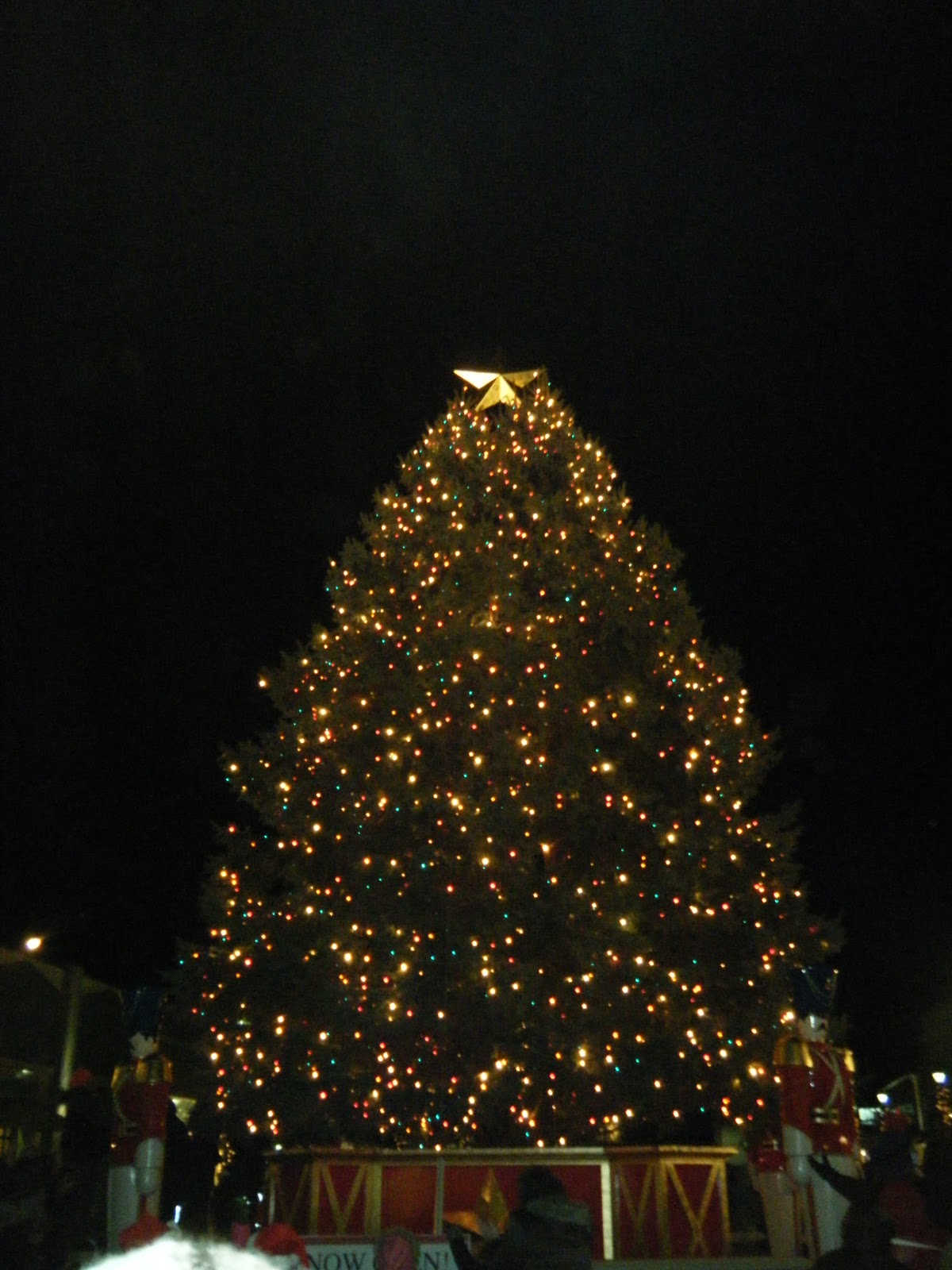 The Galloways Shadowlake Towncenter Tree Lighting