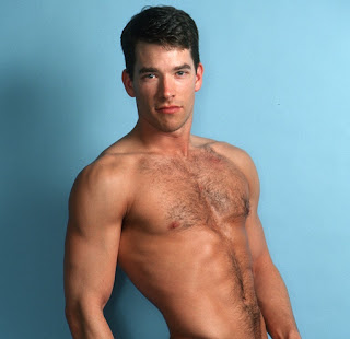 daily male muscle: beautful young hairy chest