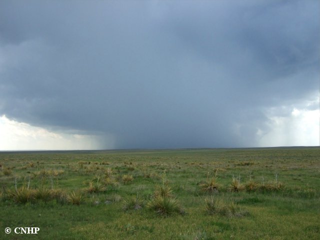 CNHP Blog: New Report: Lesser Prairie Chicken Habitat Assessment at the ...